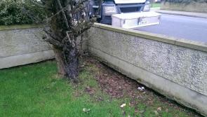 Anger at timing of road closure in Dundalk