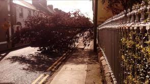 Dundalk among worst affected as ESB work to reconnect homes