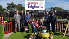 Four gold medals for Louth in 2018 Tidy Towns Competition