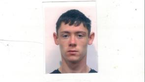 Louth gardaí make appeal for missing person