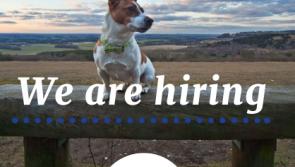 JOBS ALERT: Range of vacancies at Norbrook 