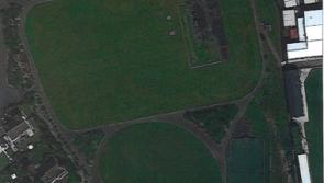 Sustainable Garden planned for Blackrock