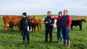 Two Louth beef farmers shortlisted for Bord Bia’s Origin Green Farmer Awards