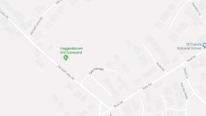 166 new homes planned for Blackrock