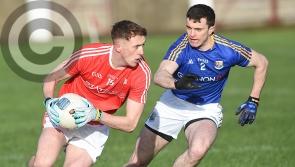 Louth draw Division Three opposition in 2020 Leinster Championship