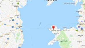 Submissions sought on UK nuclear power plant planned for site 100 miles from Dundalk