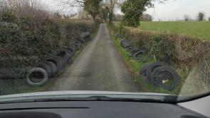 Cllr Sharkey hits out at illegal dumping of waste tyres in north Louth.
