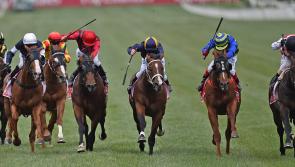 Cheltenham Festival Tips: Tuesday's top picks 