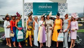 New dates for Irish Sprint Cup and Ladies Day at Dundalk Stadium