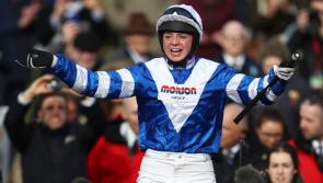 INSIDE TRACK | Superb Cheltenham Festival, but no change in Inside Track luck