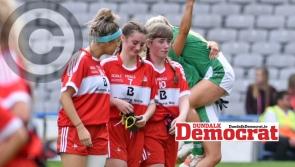Rice and Boyle star as Louth secure crucial league win over Antrim