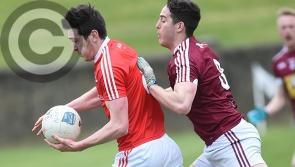 INSIDE TRACK | Louth break records, are led by Bevan Duffy and unearth a few players in positive league campaign