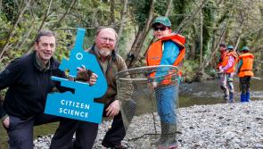 Appeal to anglers in Louth to take part in new National Salmon Scale Project 