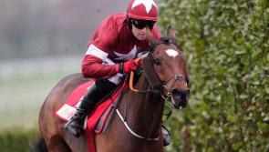 INSIDE TRACK | Grand National winner Tiger Roll another star to cover Dundalk Stadium course