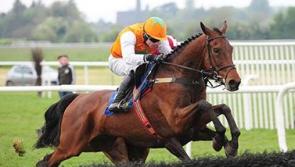 Irish Grand National Tips - Three horses worth backing in the Fairyhouse feature