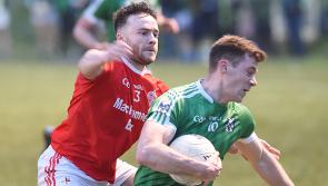 IN FULL | Friday night's Louth GAA club results