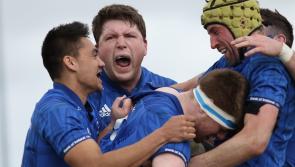Two Dundalk RFC players named in Leinster junior team for interprovincial clash on Mill Road