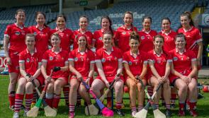 PICTURES & REPORT | Louth camogs fall just short in Leinster junior final