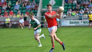 STATS | Results and details of all 30 of Louth's previous All-Ireland qualifiers