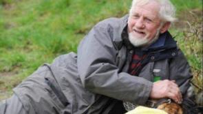 TRIBUTE | Greyhound racing fraternity has lost Peter Burke, Gerry Heeney, Pat Quinn, Mabel Blair and Matt Ginnety, writes Joe Carroll