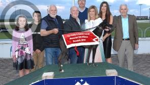 Cricket Club hit rivals for six in Paddy & Eamon Carroll Memorial final at Dundalk Stadium, writes Joe Carroll