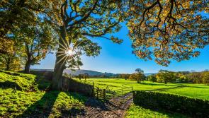 Almost €2.5mil in Louth eco scheme payments