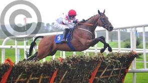Darver is already a star for the mid-Louth lads, Pat Cluskey, Simon Fagan and Seán Fanning