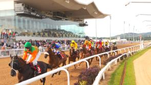 More success for local owners as Doctor Grace takes the spoils at Dundalk Stadium 