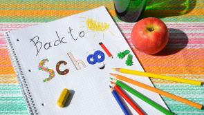 CONFIRMED: Irish schools will fully re-open next month  