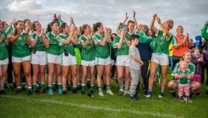 Talking points from Geraldines' SFC final victory over Cooley Kickhams