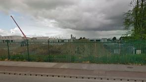 Hill Street Views: Adventures in Dundalk's Clarks Forest