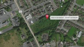 Go ahead for 67 new homes on Dublin Road in Dundalk moves step closer