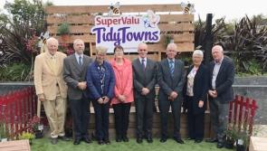 Blackrock wins Ireland's Best Small Town category in National Tidy Towns Awards