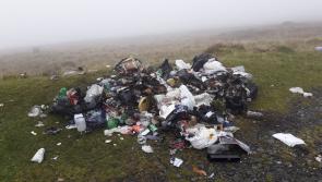 North Louth councillor slams return of illegal dumping