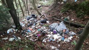 Louth councillor welcomes clean up of dumping ground in Omeath