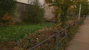 Clean up begins at Ramparts River in Dundalk