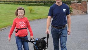 Assistance dog Dixie convinces Knockbridge man to run Dublin Marathon