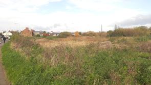 Lands behind Gosling Terrace in Dundalk to be sold in public auction