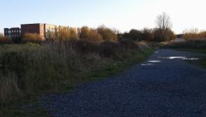 Future of €100,000 publicly funded Ramparts riverwalk in Dundalk in question as lands go on market