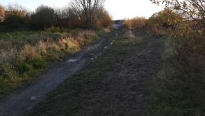 Rampart riverwalk going ahead despite sale of land say Louth County Council