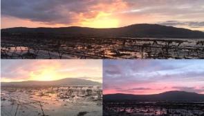 Keenan Oyster Farm now recruiting in Carlingford
