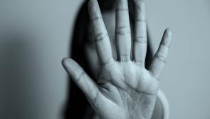 Enhanced supports must be provided to victims of domestic violence says Louth TD