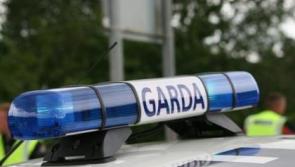 Cash, drugs and high value cars seized in intercounty Garda operation 