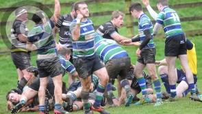 Dundalk RFC humbled at home by Gorey in Leinster League