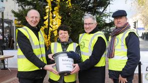 Rotary Club of Dundalk erecting Remembrance tree in town