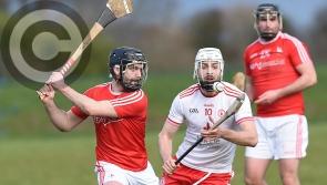 Team-by-team profiles: Louth's National Hurling League Division 3A opponents