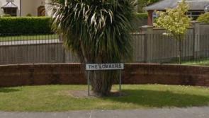 Planning permission granted for 29 new homes set to be built on the outskirts of Blackrock
