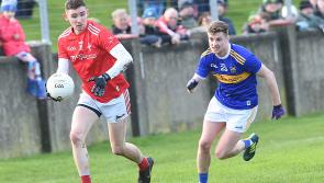 Louth's season in a perilous state after late buckle in league defeat by Tipperary