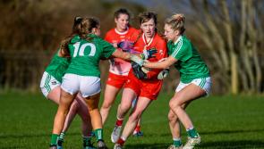 Freeman hails Louth's battling spirit as Reds pip Limerick for second league win