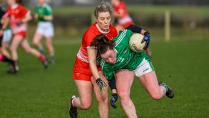 Roche's Aoife Halligan has been in and out with Louth - without shaking it all about